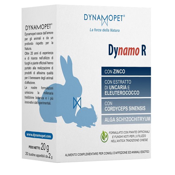 DYNAMO R 20BUST 2G