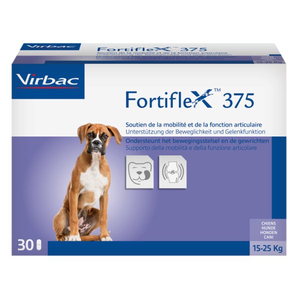 FORTIFLEX 375MG 30CPR