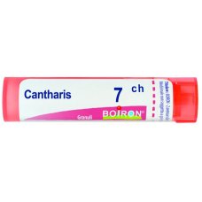 BO.CANTHARIS 7CH TUBO