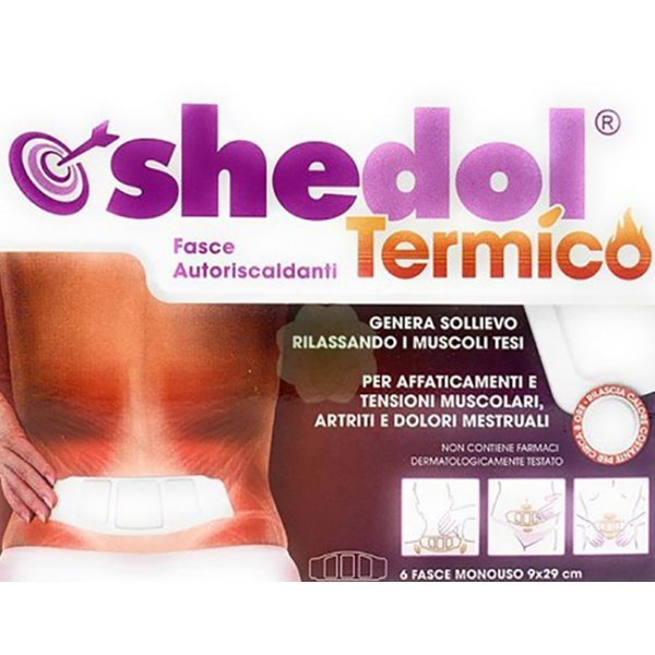 SHEDOL TERMICO CER 6PZ