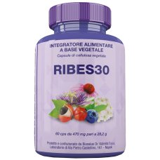 RIBES30 60CPS 27G