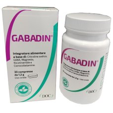 GABADIN 30CPR