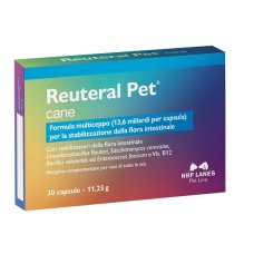 REUTERAL PET CANE 30CPS