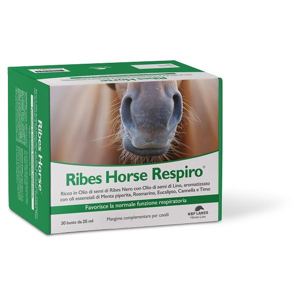 RIBES HORSE RESPIRO 30BUST